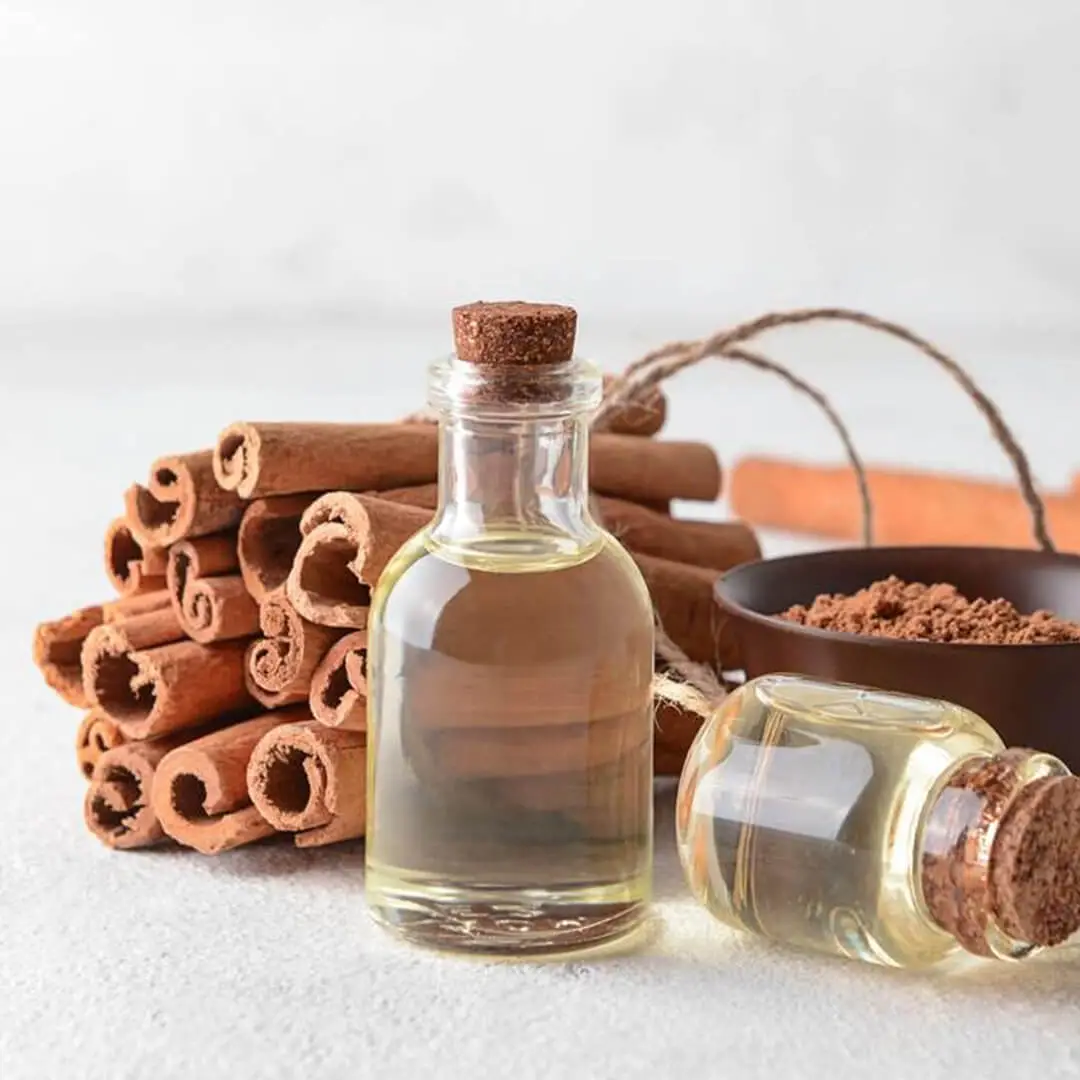 Here Are Some Technical Details About Cassia Seed Oil 